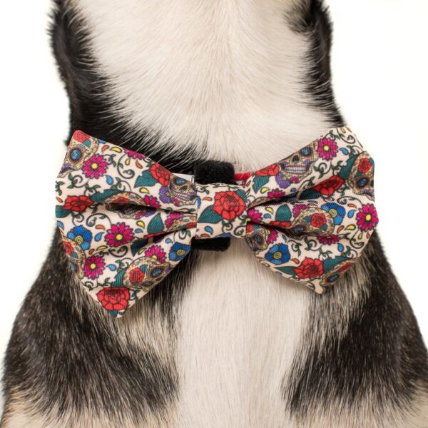 Big & Little Dogs 'Day of the Dead' skull and floral print dog collar and detachable bow tie