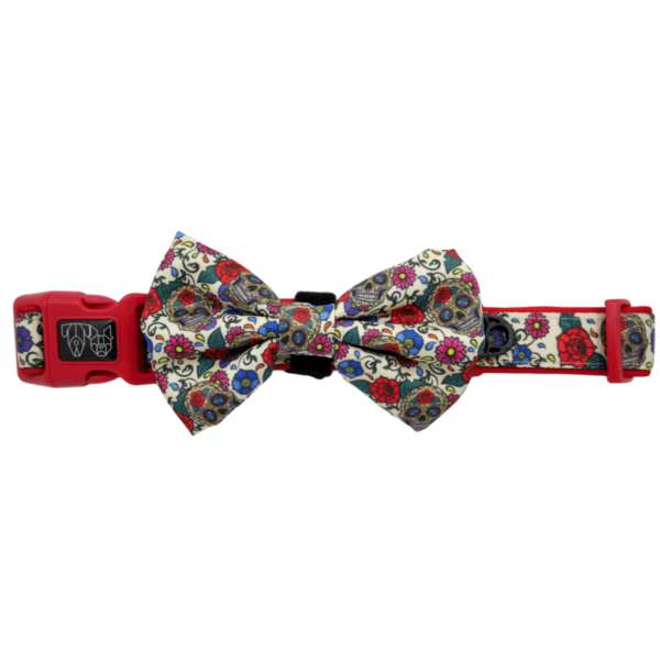 Big & Little Dogs 'Day of the Dead' skull and floral print dog collar and detachable bow tie