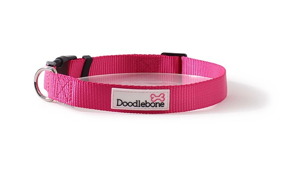 Doodlebone Bold Nylon Adjustable Neon Pink Dog Collar