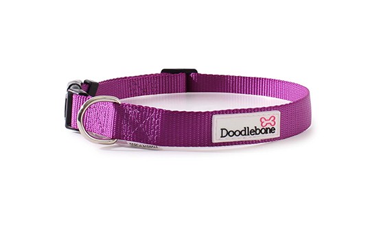 Doodlebone Bold Nylon Adjustable Purple Dog Collar