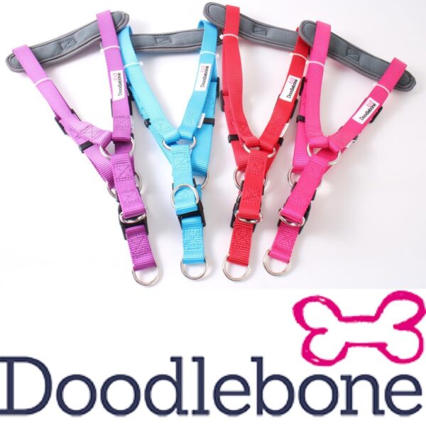 Doodlebone Padded Adjustable Strap Dog Harness