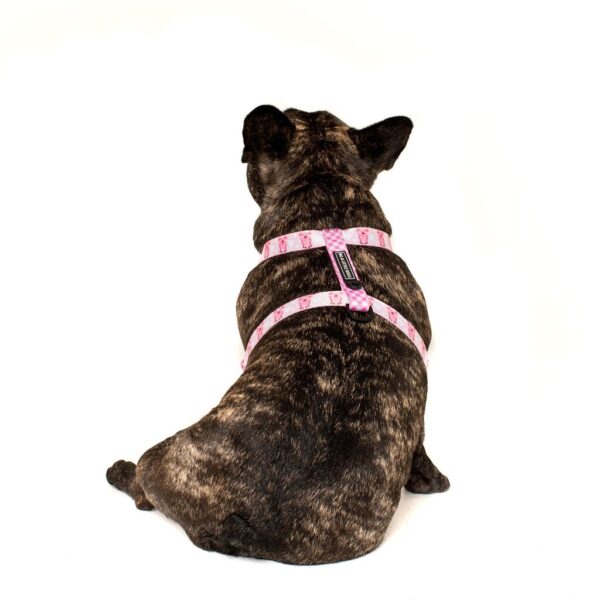 Big & Little Dogs 'Gettin' Piggy With It' Strap Dog Harness