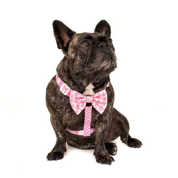 Frenchie wearing a Big & Little Dogs 'Gettin' Piggy With It' Strap Dog Harness