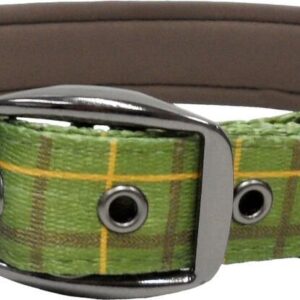 Green Country Check Padded Buckle Dog Collar by Dog & Co