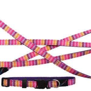 Hem and Boo Pink Zig Zags Puppy Collar and Lead Set