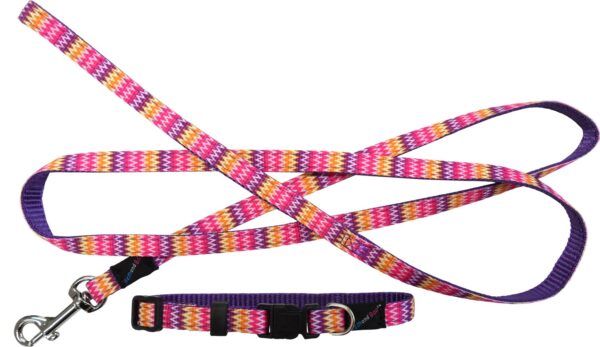 Hem and Boo Pink Zig Zags Puppy Collar and Lead Set