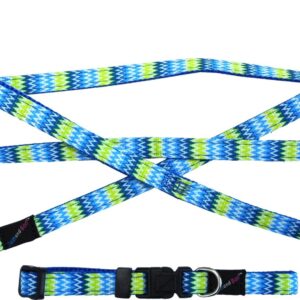 Hem and Boo Blue Zig Zags Puppy Collar and Lead Set