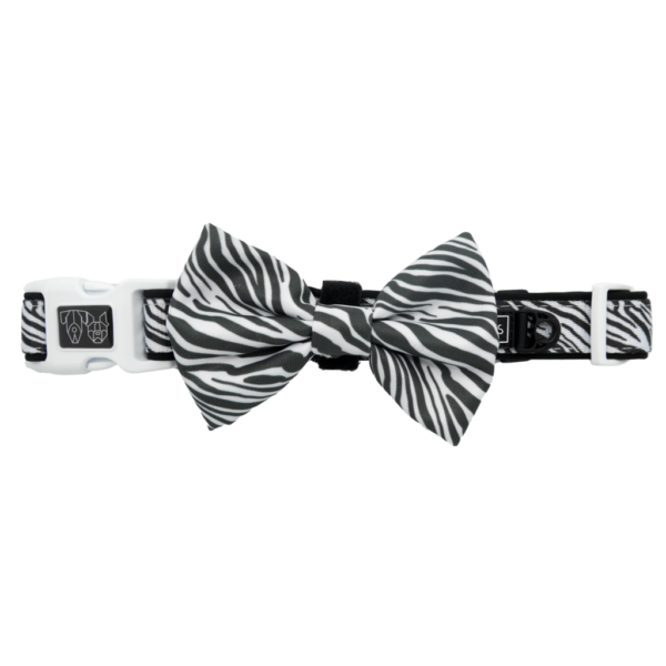 Big & Little Dogs 'Into The Wild' Zebra Print Black and White Dog Collar and Detachable Bow Tie