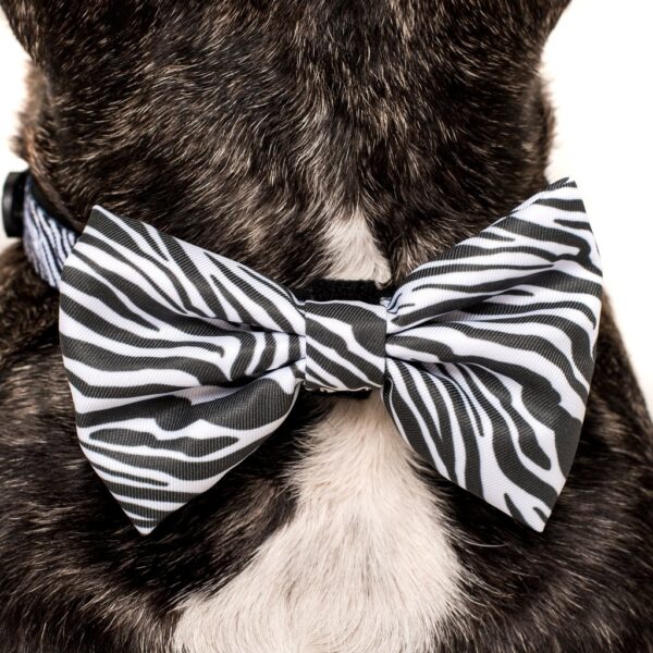 Big & Little Dogs 'Into The Wild' Zebra Print Black and White Dog Collar and Detachable Bow Tie