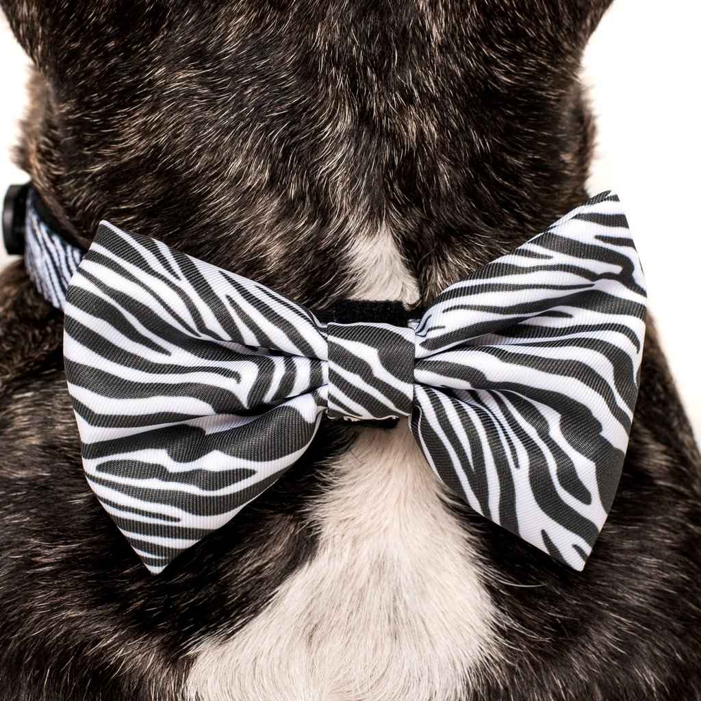 Black bow tie dog collar hot sale