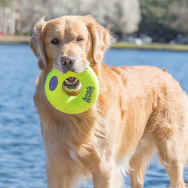 Large Kong Airdog Squeaker Donut Strong Dog Toy