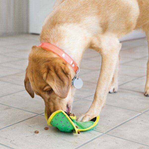 Large KONG Ballistic Hide ’N Treat