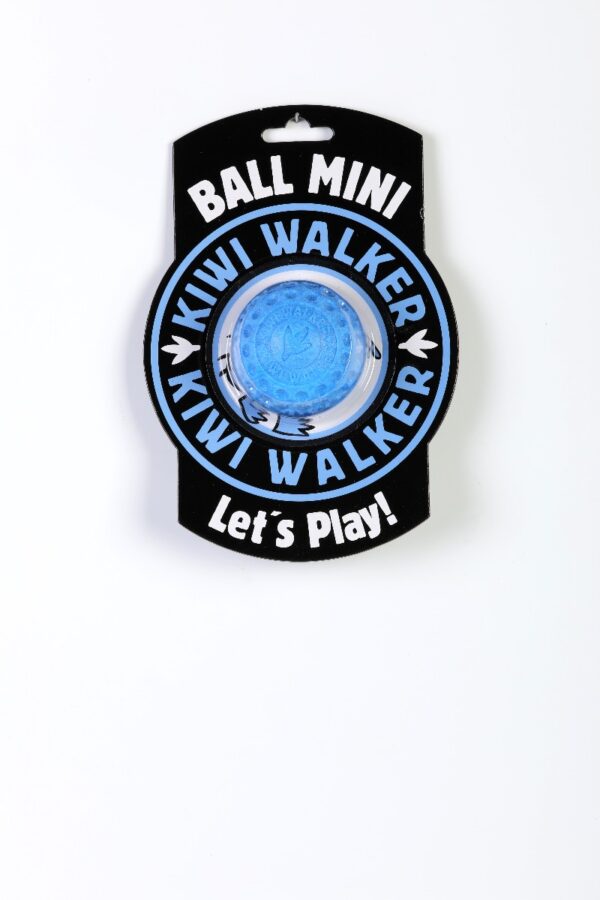 Blue Kiwi Walker Strong Dog Ball