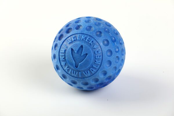 Blue Kiwi Walker Strong Dog Ball