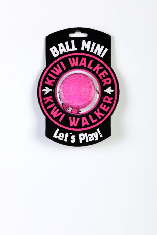 Pink Kiwi Walker Strong Dog Ball