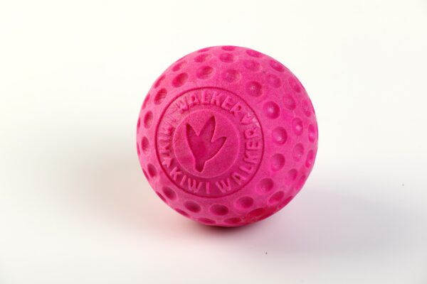 Pink Kiwi Walker Strong Dog Ball