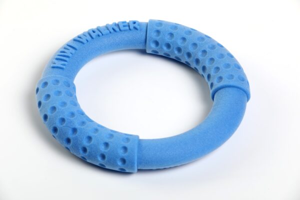 Blue Kiwi Walker Ring Strong Dog Toy
