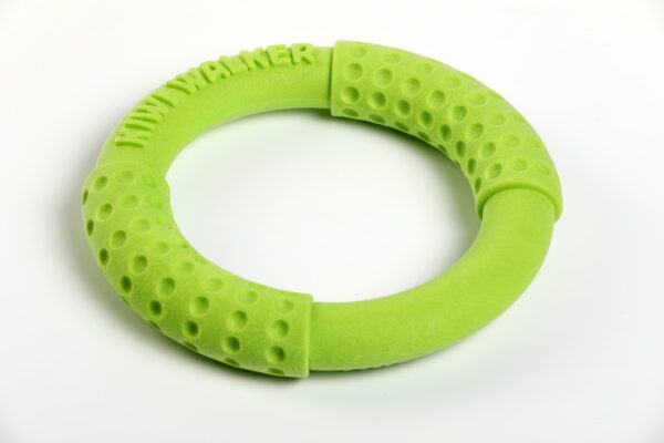 Green Kiwi Walker Ring Strong Dog Toy