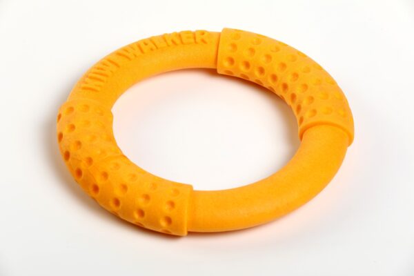 Orange Kiwi Walker Ring Strong Dog Toy