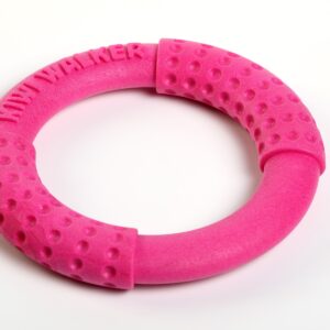 Pink Kiwi Walker Ring Strong Dog Toy