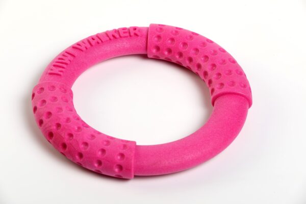 Pink Kiwi Walker Ring Strong Dog Toy