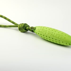 Green Kiwi Walker Zeppelin Strong Dog Toy