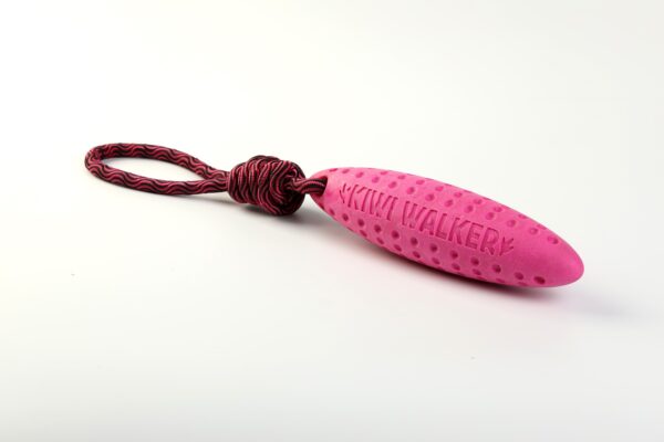 Pink Kiwi Walker Zeppelin Strong Dog Toy