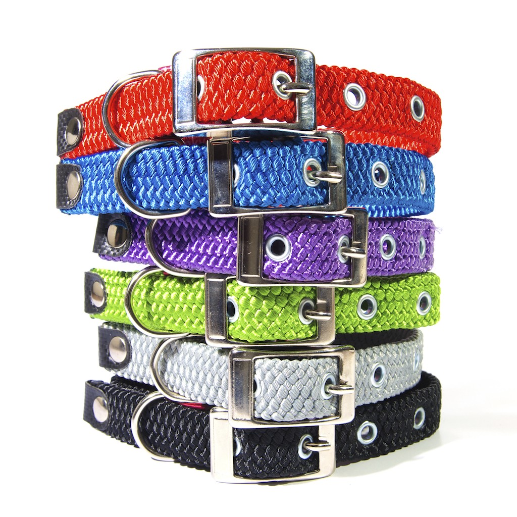 Flat collar hotsell dogs