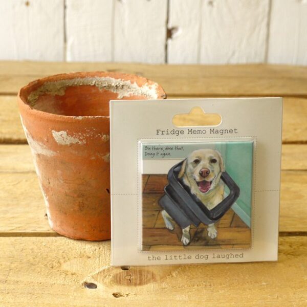 A magnet showing a cheeky golden Labrador with its head stuck in a bin liid by The Little Dog Laughed