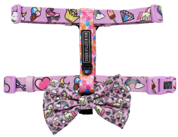 Big & Little Dogs 'Gettin' Piggy With It' Strap Dog Harness featuring a rainbow, unicorn and watercolour print design