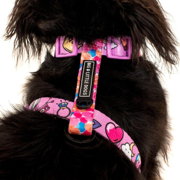 Big & Little Dogs 'Gettin' Piggy With It' Strap Dog Harness featuring a rainbow, unicorn and watercolour print design