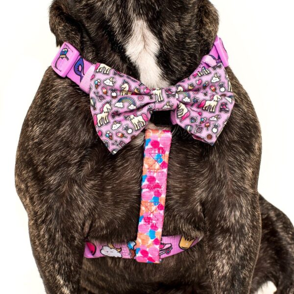 Big & Little Dogs 'Gettin' Piggy With It' Strap Dog Harness featuring a rainbow, unicorn and watercolour print design