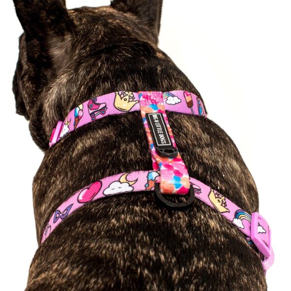 Big & Little Dogs 'Gettin' Piggy With It' Strap Dog Harness featuring a rainbow, unicorn and watercolour print design