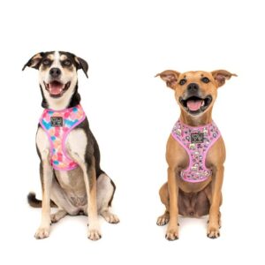 Two cute dogs wearing a reversible 'One of a Kind' dog harness with a unicorn and rainbow print design by Big & Little Dogs