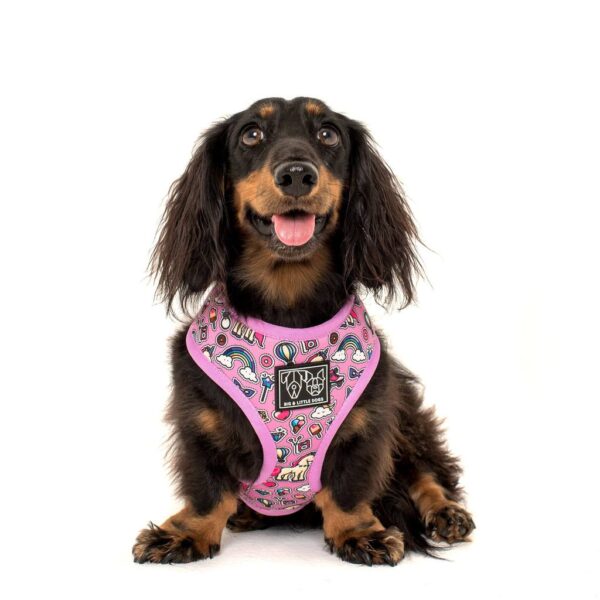 Dachshund wearing a reversible 'One of a Kind' dog harness with a unicorn and rainbow print design by Big & Little Dogs