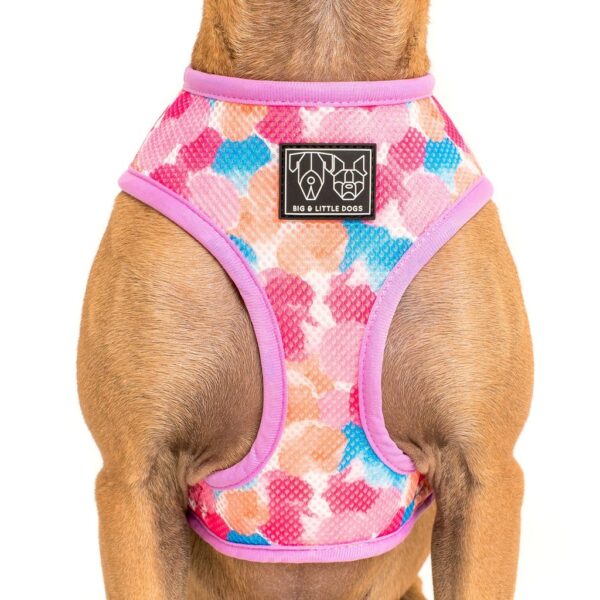 Reversible 'One of a Kind' dog harness with a unicorn and rainbow print design by Big & Little Dogs