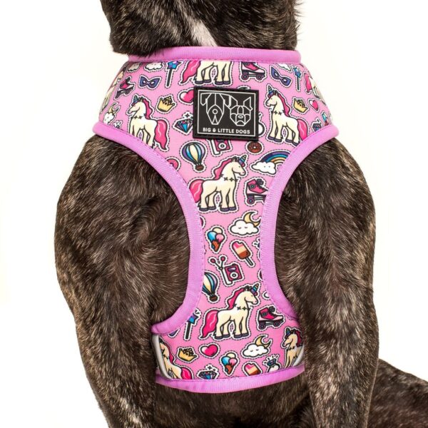 Reversible 'One of a Kind' dog harness with a unicorn and rainbow print design by Big & Little Dogs