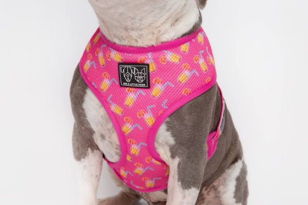 Pink cocktail print design 'Pawty Punch' Dog Harness by Big & Little Dogs
