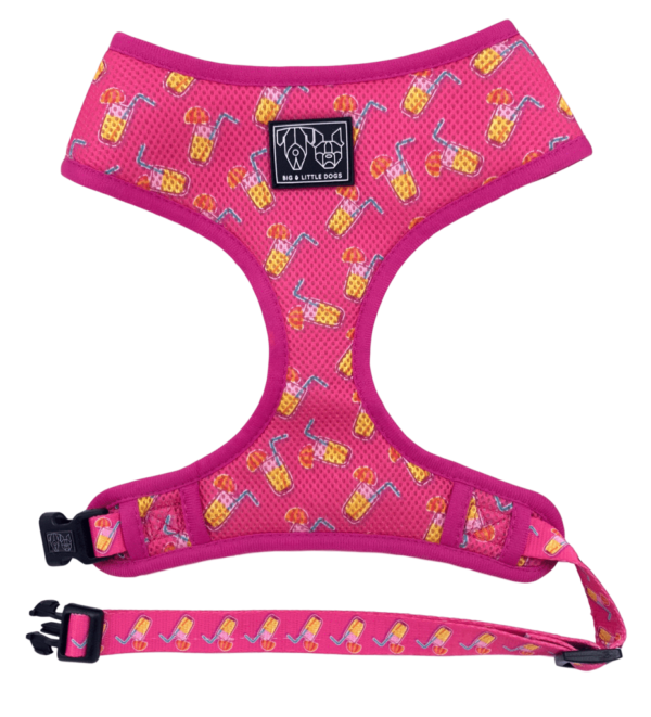 Pink cocktail print design 'Pawty Punch' Dog Harness by Big & Little Dogs