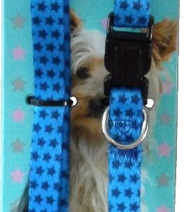 Puppy & Co Blue Star Puppy Collar and Lead Set
