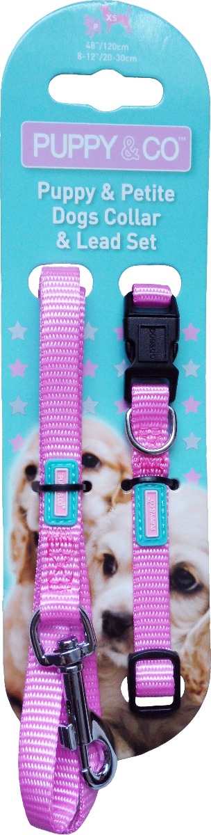 Pink puppy sales collar and lead