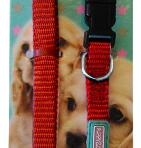Puppy & Co Red Puppy Collar and Lead Set