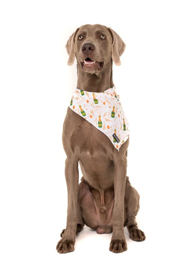 Big & Little Dogs 'Poppin' Bottles' Dog Neckerchief