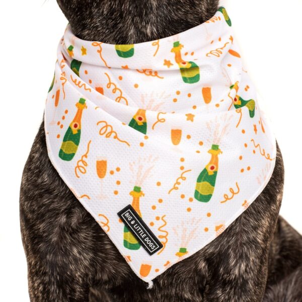 Big & Little Dogs 'Poppin' Bottles' Dog Neckerchief