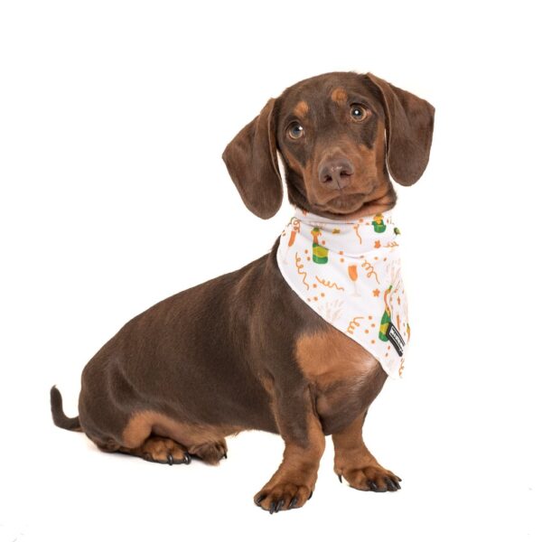 Big & Little Dogs 'Poppin' Bottles' Dog Neckerchief