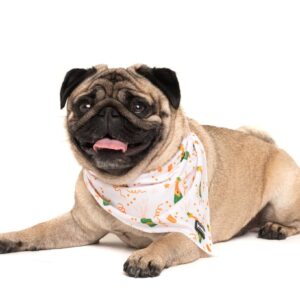 Big & Little Dogs 'Poppin' Bottles' Dog Neckerchief