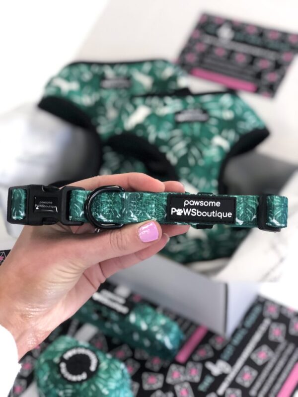 Pawsome Paws Boutique 'Keep Palm + Carry On' Adjustable Dog Collar