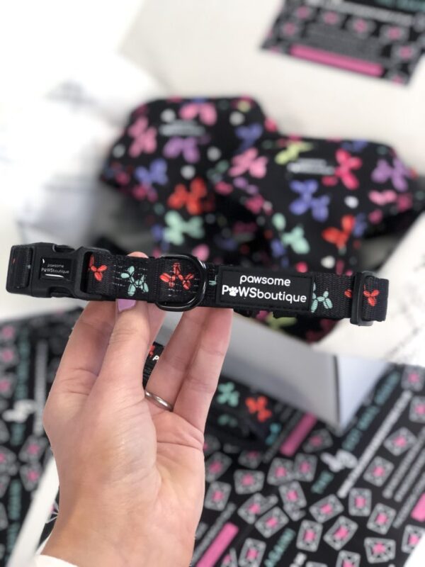 Pawsome Paws Boutique 'Party Animal' Dog Collar
