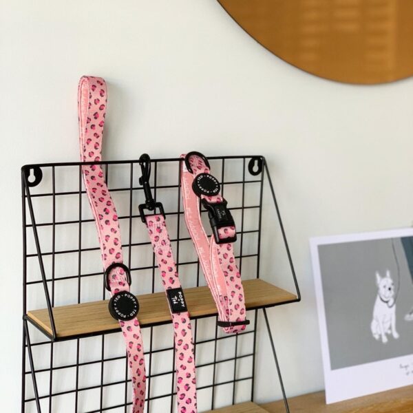 Poppy and Ted Pink Wild Leopard Adjustable Dog Collar and Lead