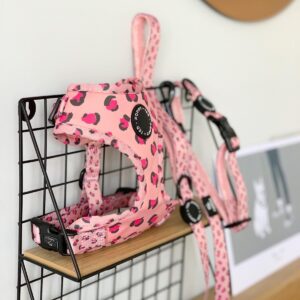 Poppy and Ted Pink Wild Leopard Adjustable Dog Harness